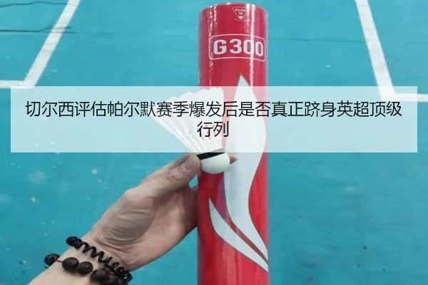 切尔西评估帕尔默赛季爆发后是否真正跻身英超顶级行列