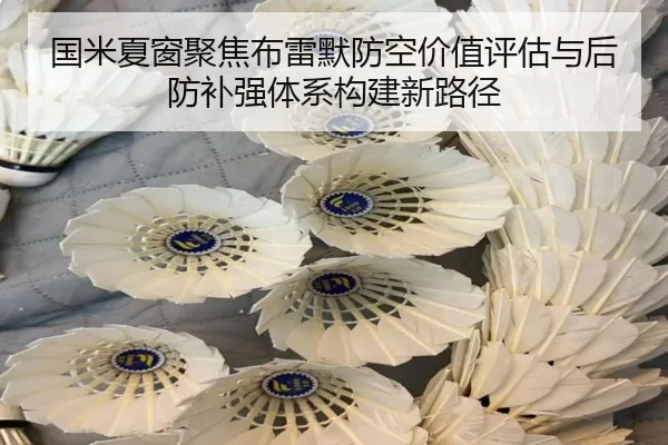 国米夏窗聚焦布雷默防空价值评估与后防补强体系构建新路径（kaiyun）