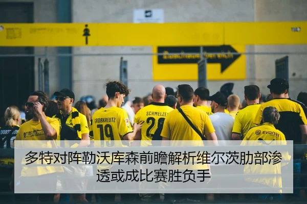 多特对阵勒沃库森前瞻解析维尔茨肋部渗透或成比赛胜负手 - kaiyun